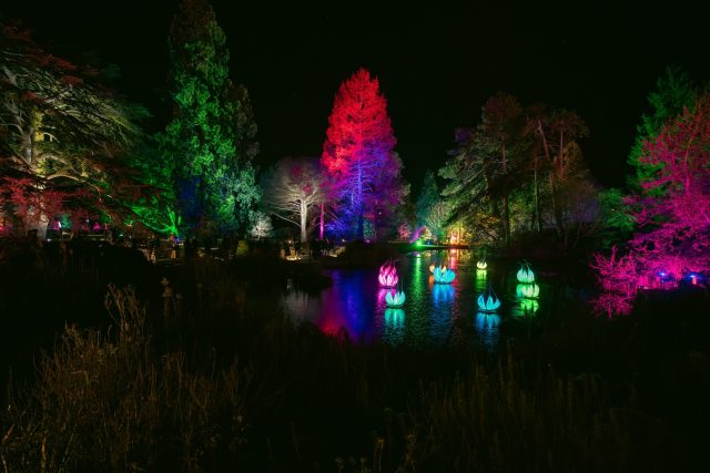 Cambridge Botanic Lights 2024